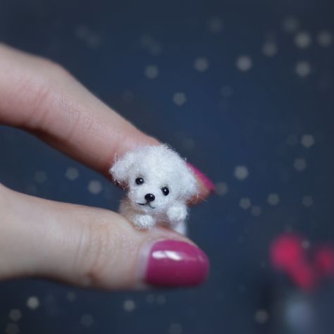 Miniature Puppies, Doll House Pets, House Pets, White Puppy, Cute Animals Puppies, White Puppies, Dog Crafts, Tiny Things, Dolls Accessories