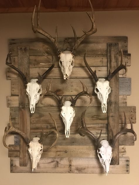 European Deer Mount Ideas, Skull Mount Ideas, Hunting Decor Living Room, European Mount Ideas, Deer Mount Decor, Draw Wolf, Deer Mount Ideas, European Mounts, Deer Hunting Decor