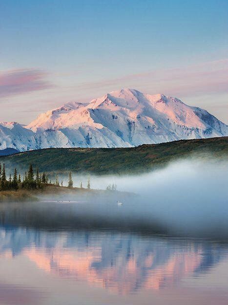 Denali at dawn Mt Denali, Denali Mountain, Alaska Denali, Denali Alaska, Alaska National Parks, Mountains In The Distance, Trumpeter Swan, Alaska Usa, Morning Fog