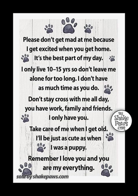 Dont Get Mad, Dont Leave Me, You Are My Everything, Leave Me Alone, Sweet Dogs, Take Care Of Me, Get Excited, Best Part Of Me, Getting Old