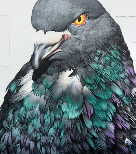 Extraordinary Pigeons Take Flight in Large-Scale Feathery Murals by Adele Renault | Colossal Cute Pigeon, Pigeon Pictures, Pigeon Bird, Berlin Art, Words On Canvas, Colossal Art, Impressionism Painting, Bird Illustration, Art Festival