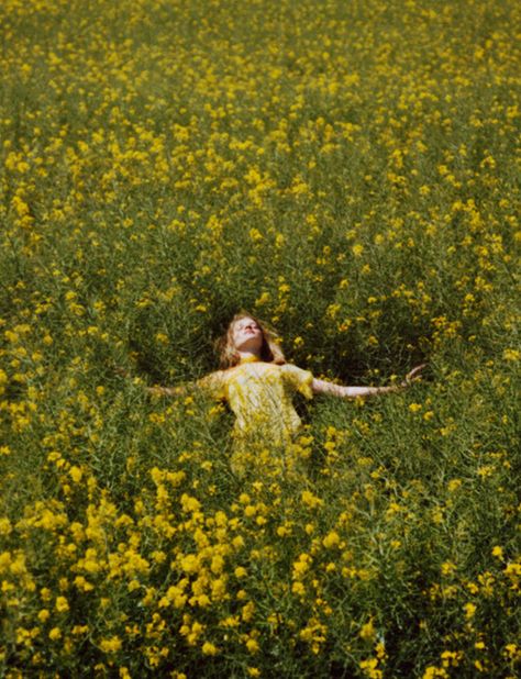 (via Olivia Bee - BOOOOOOOM! - CREATE * INSPIRE * COMMUNITY *... Olivia Bee, Cottagecore Aesthetic, + Core + Aesthetic, Summer Solstice, Mellow Yellow, Nature Aesthetic, Flower Field, Photography Inspo, Instagram Foto