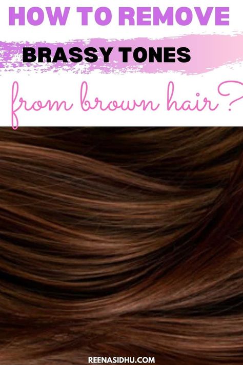 How To Remove Brassy Tones From Brown Hair. It’s been a few weeks since your last visit to the salon, and you’ve noticed some brassy undertones in your brown locks. So, what exactly do you do? Remove Brassiness From Hair Diy, How To Get Brassy Out Of Brown Hair, How To Remove Brassy Tones From Hair, Toner For Brassy Hair Brunettes, Toning Brassy Hair Brunettes, Brown Hair Without Red Tones, Toning Brown Hair, Toning Orange Brassy Hair, Brassy Brown Hair