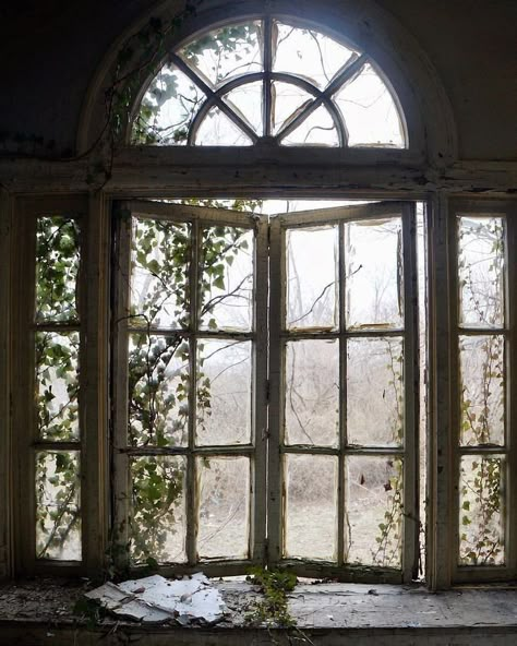 Window View, Light Academia, Pretty Places, Green Aesthetic, Abandoned Places, 그림 그리기, View Photos, Dark Academia, Future House