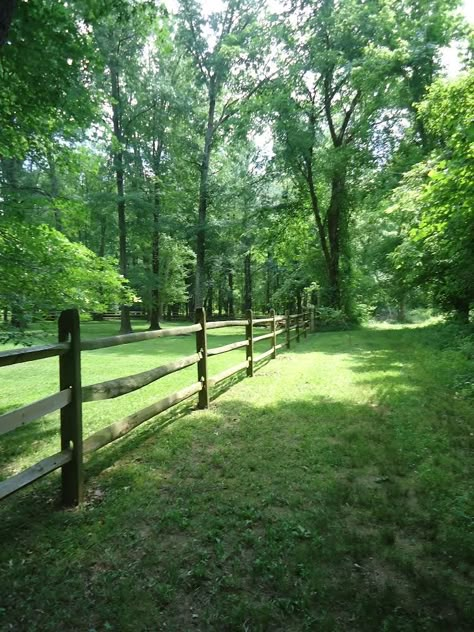 House With Forest Backyard, Forest Behind House, Forest In Backyard, Backyard With Forest, Backyard With Woods, Backyard Forest Landscape Ideas, Big Yard Aesthetic, Backyard Woods Landscaping, Backyard Forest Landscape