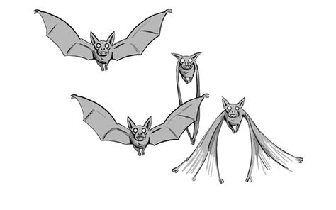 Bat Flying Animation, Bat Flying Gif, Bat Animation, Wing Animation, Flying Animation, Animation Drawing Sketches, Wings Flying, Cartoon Bat, Learn Animation