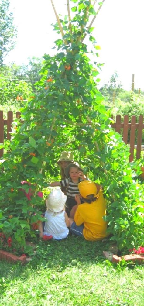 Bean Tipi, Garden Hideaway Ideas, Pea Teepee, Funky Backyard, Garden Teepee, Teepee Outdoor, Bean Teepee, Outdoor Playscapes, Teepee Trellis