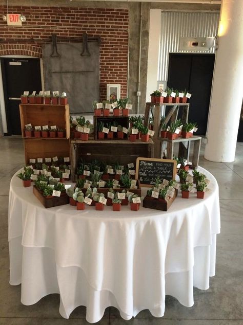 Crate Display with Succulents doubling as favors and escort cards How To Display Favors At Wedding, Bridal Shower Favor Display Ideas, Succulent Wedding Favors Display, Wedding Favors Table Display, Party Favor Display, Wedding Favor Table Display, Favor Display, Simple Wedding Favors, Coffee Wedding Favors