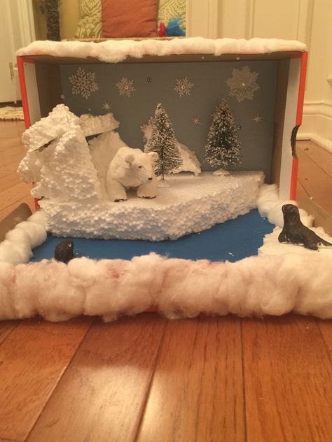 Polar bear diorama Polar Bear Diorama, Bear Diorama, Polar Bear Habitat, Shoe Box Diorama, Rainforest Crafts, Arctic Habitat, Biomes Project, Diorama Kids, Diorama Project