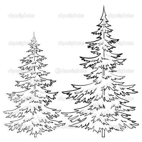 Pine Tree Drawings Black and White Tree Line Drawing, Pine Tree Drawing, Pine Tree Silhouette, Tree Outline, Christmas Tree Drawing, White Pine Tree, Fur Tree, Tree Drawings Pencil, Tree Sketches