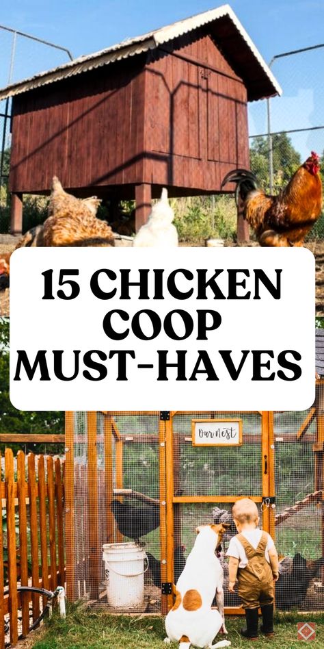 Keep your chicken coop safe, functional, and cute with these 15 must-have items! Each essential—like dust baths, secure latches, and feeders—supports a happy, healthy flock. Save this pin for easy-to-follow tips on building the ideal backyard coop for your chickens. Chicken Coop Ideas For 12 Chickens, Chicken Coop Pallet Ideas, Chicken Tower Coop, Awesome Chicken Coop, Build Your Own Chicken Coop Diy, How To Start A Chicken Coop, Smart Chicken Coop Ideas, Diy Chicken Coop On A Budget, Raise Chickens For Beginners Backyards