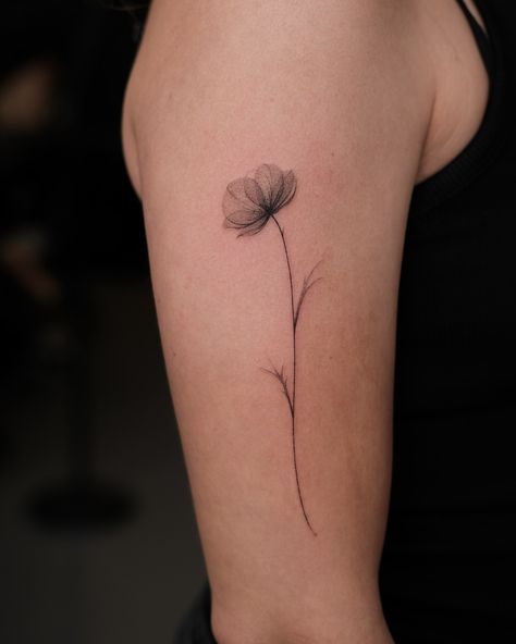 Definitely one of the most popular flowers in recent memory✨ Poppy flower done at @exp.haus London bookings are open 8-12 of August fill out the form on my website inspiradatattoo.com Mini Poppy Flower Tattoo, Dainty Poppy Tattoo, Small Poppy Flower Tattoo, Poppy Flower Tattoos, Simple Poppy Tattoo, August Flower Tattoo, California Poppy Tattoo, Poppy Flower Tattoo, Poppy Tattoo