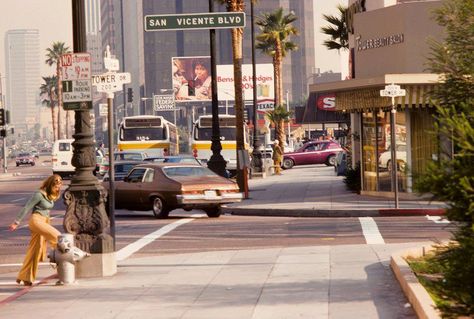 Wilshire & San Vicente Blvd Beverly Hills 1970's Los Angeles 1980s, East La Aesthetic, Los Angeles Aesthetic, East Los Angeles, Santa Monica Blvd, Bank Robber, Fotografi Vintage, Green Hills, Vintage Los Angeles