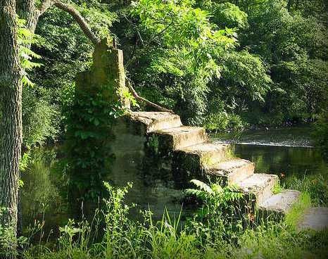 Mysterious Stairs in the Forests: Legends and History Stairs In The Forest, Stairs In The Woods, Haunted Woods, Types Of Stairs, Unexplained Mysteries, History Of The World, Wood Stairs, Fantasy Images, Park Ranger