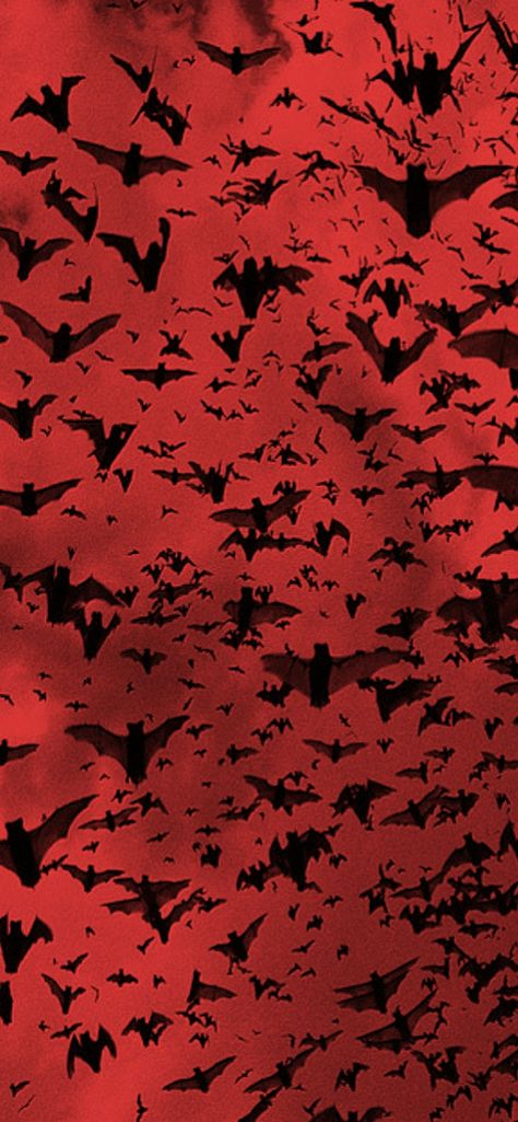 Bat Wallpaper Aesthetic, Red Gothic Wallpaper, Dark Christmas Aesthetic Wallpaper, Horrorcore Aesthetic, Evil Background, Horror Wallpaper, Halloween Desktop Wallpaper, Newest Horror Movies, Creepy Backgrounds