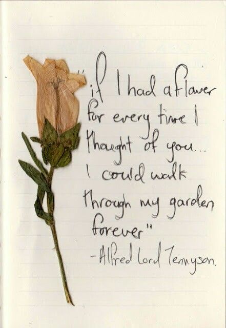 Body Flowers, Lord Tennyson, Alfred Lord Tennyson, Quotes About Love, Unspoken Words, Happy Words, Poem Quotes, Hopeless Romantic, About Love