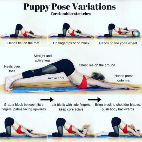 Good morning everyone! ❤️ I loved seeing all your beautiful side stretches! Reading that so many of you also loved this downdog variation… Puppy Pose Yoga, Begginers Yoga, Side Stretches, Yoga Teacher Resources, Yoga Ashtanga, Puppy Pose, Yoga Tutorial, Yoga Techniques, Yoga Moves