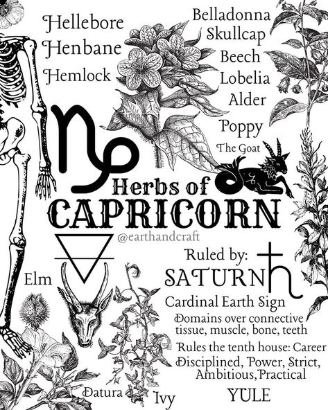 Zodiac Charts, Capricorn Energy, Birth Signs, Earth Craft, Magickal Herbs, Green Witchcraft, Grimoire Book, Magic Herbs, Astrology And Horoscopes