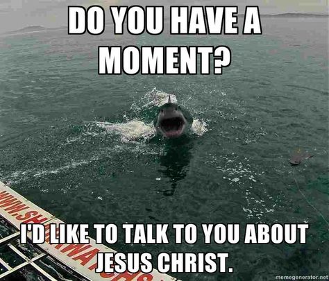 shark memes | Meme Misunderstood mormon shark Shark Jokes, Misunderstood Shark, Shark Meme, Shark Things, Atheism Humor, Shark Stuff, Shark Photos, Chomp Chomp, Shark Pictures