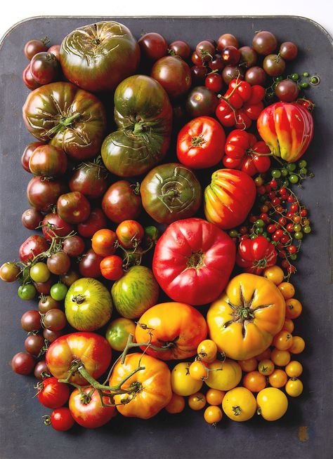 Heirloom Tomatoes Varieties, Vegetables Storage, Aesthetic Food Recipes, Storing Produce, Tomato Tomato, Tomato Varieties, Recipe Tomato, Growing Tomato Plants, Food Easter