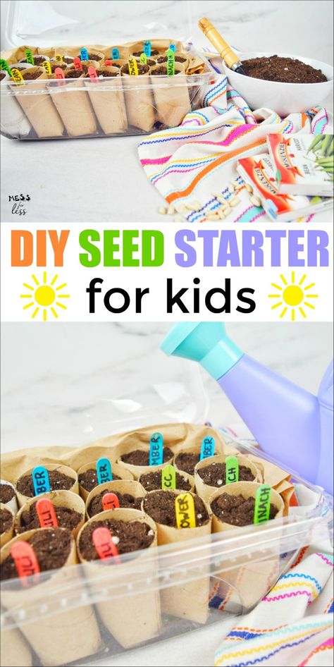 Diy Preschool Garden Ideas, Garden Activities For Seniors, Seed Craft Preschool, Planting For Preschoolers, Gardening Activity Preschool, Seed Projects For Preschoolers, Planting With Toddlers, School Garden Club Activities, Plant A Seed Activity For Kids