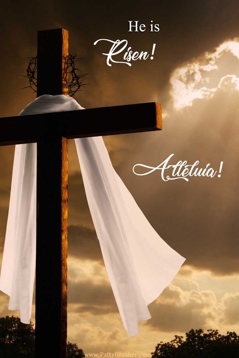 He is Risen! Alleluia! - He Is Risen Indeed Alleluia, Alleluia He Is Risen, He Is Risen Wallpaper Aesthetic, He Is Risen Images, He Is Risen Art, Jesus Art Paintings, He Has Risen Easter, Pictures Of Turtles, Funny Squirrel Pictures