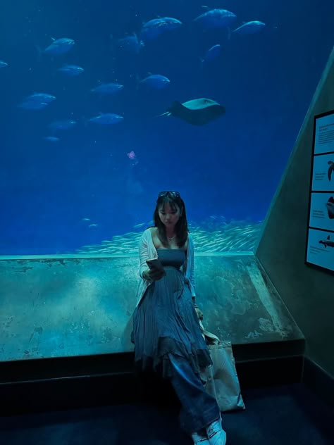 DRESS AND JEANS blue fit idk what to say here hello aesthetic fish aquarium what Aquarium Date Outfit, Hello Aesthetic, Dresses Over Jeans, Aquarium Trip, Aesthetic Fish, Dress And Jeans, Aquarium Photos, Idk What To Say, Aquarium Pictures