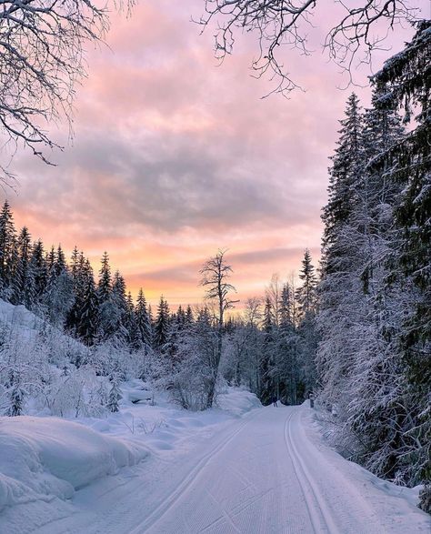 Winter Aesthetic Colorful, Heavy Snow Aesthetic, Narnia Aesthetic Winter, Winter Aesthetic Nature, Astetic Winter Pictures, Cute Winter Images, Snow Asthetics Photos, Winter Sun Aesthetic, Colorful Winter Aesthetic