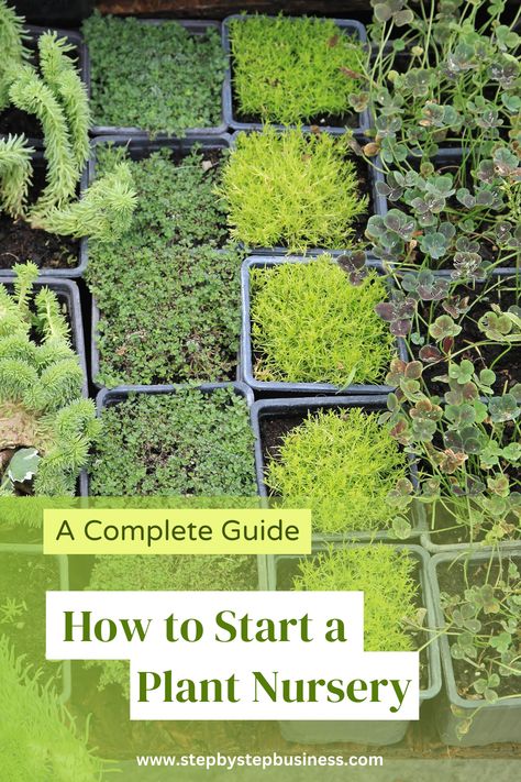 Starting A Plant Nursery Business, Starting A Nursery Business, Indoor Plant Nursery Ideas, Garden Nursery Ideas Plants, Backyard Nursery Business, Plants Nursery Ideas, Plant Nursery Layout, Plant Nursery Ideas Greenhouses, Selling Plants From Home