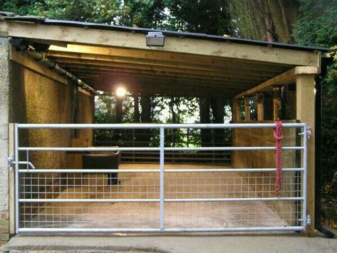 Horse barns Horse Activities, Small Horse Barns, Horse Shed, Livestock Barn, Livestock Shelter, Horse Farm Ideas, Horse Paddock, Diy Horse Barn, Horse Barn Ideas Stables