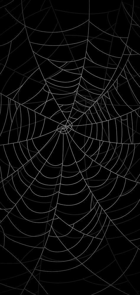 Phone Border Wallpaper, Black Spooky Background, Black Spider Web Wallpaper, Spoder Web, Spider Web Aesthetic, Horror Backgrounds, Spiderweb Wallpaper, Spider Web Wallpaper, Spiderweb Background