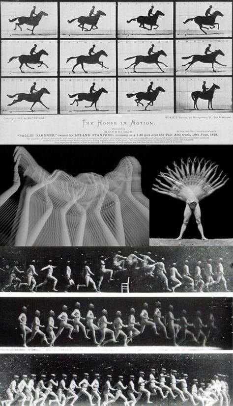 Animation Movement, Sequence Photography, In Motion, Eadweard Muybridge, Film Anime, Cultural Architecture, Animation Reference, Moving Image, 영감을 주는 캐릭터