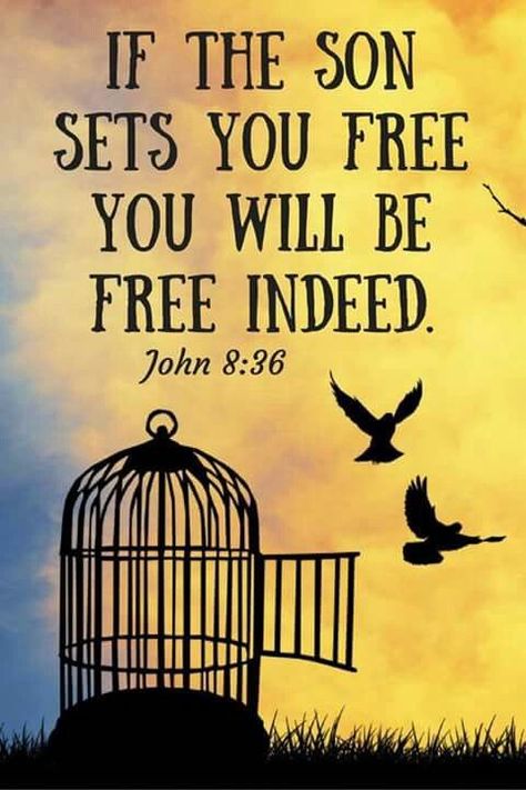 Who The Son Sets Free Is Free Indeed, John 8 36, Free Indeed, John 8, Learn Spanish, Favorite Bible Verses, Son Of God, Gods Promises, Set You Free