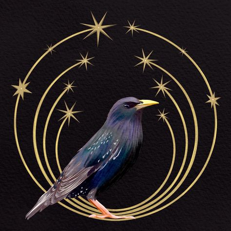 Starling Aesthetic, Starling House, Starling Bird, Bird Aesthetic, Folk Art Prints, Common Starling, Whimsigoth Aesthetic, Tomorrow Is My Birthday, Moody Art