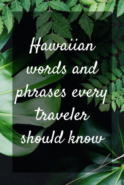 Essential Hawaiian words and phrases for travelers | CosmopoliClan Hawaiian Sayings, Hawaiian Words And Meanings, Hawaiian Words, Hawaiian Phrases, Hawaiian Quotes, Travel Language, Portuguese Words, Hawaiian Travel, Learning Languages Tips