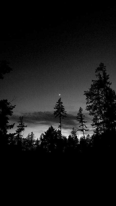 #photography #blackandwhite #moon #trees #night #wallpaper #sky Nature Black And White, Sky Scenery, Night Wallpaper, Wallpaper Sky, Scenery Nature, Black And White Wallpaper, White Wallpaper, Nature Photos, Night Sky