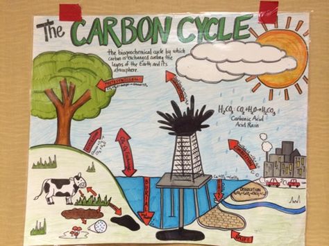 Carbon Carbon Cycle Drawing, Carbon Cycle Project, Carbon Cycle Diagram, Plants Science Project, Oxygen Cycle, Wave Art Painting, Happy Friends Day, Plants Science, Teaching Middle School Science