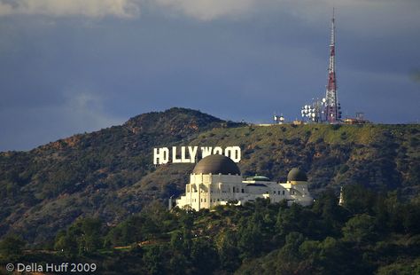 Hollywood Sign and Griffith Park Observatory Lax Layover, Venus Energy, Los Angeles Day Trips, Santa Monica Mountains, Griffith Observatory, Airplane Window, Griffith Park, Hollywood Sign, San Fernando Valley