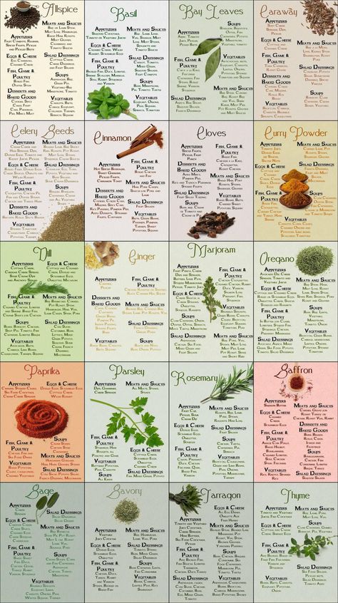 Spice Chart, Cooking Spices, Types Of Herbs, Food Charts, Homemade Spices, Homemade Seasonings, Food Info, Spices And Herbs, Healing Herbs