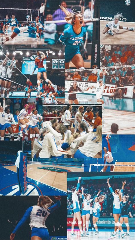 Florida Gators Volleyball, Volleyball Collage, Florida Volleyball, Collage Backgrounds, Volleyball Life, Volleyball Wallpaper, Chomp Chomp, Volleyball Inspiration, Volleyball Training