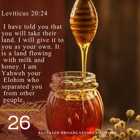 A Land Flowing With Milk And Honey, The Land Of Milk And Honey, Land Of Milk And Honey Art, Land Of Milk And Honey Bible, Land Of Milk And Honey, Honey Bee Theme, Honey Art, 45th Birthday, Bee Theme