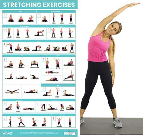 Vive Stretching Exercise Poster - Stretch Workout for Rehab, Gym, Home - Basic Fitness Bodyweight Poses Instruction Guide - Laminated 52 Stretch Pre Post Routines Wall Chart Full Body Yoga Women, Men : Amazon.co.uk: Sports & Outdoors Stretching Exercise, Gym Dumbbells, Healthy Hacks, Full Body Stretch, Gym Home, Body Stretches, Workout Posters, Workout Chart, Improve Flexibility