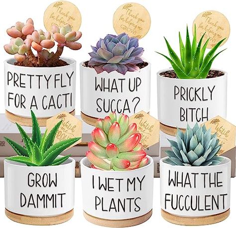 Flower Pot Sayings, Small Plant Pots, Bunco Ideas, Small Ceramic Planter, Ceramic Painting Ideas, Painted Plant Pots, Themed Bathroom, Future Shop, Small Cactus