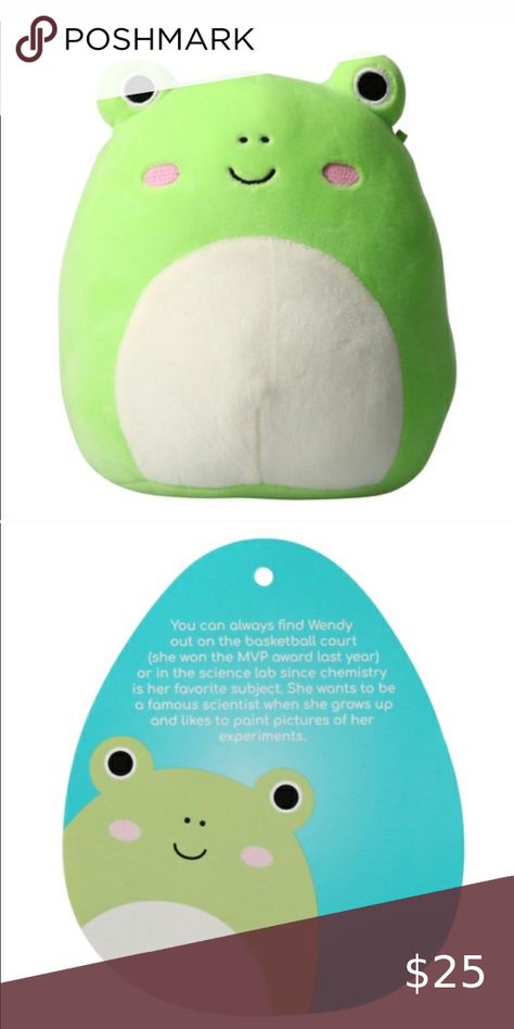 NWT 7.5” Wendy the Frog Squishmallow Wendy The Frog, Frog Squishmallow, Favorite Subject, The Frog, Travel Pillow, Plus Fashion, Fashion Trends, Closet, Fashion Tips