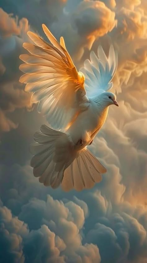 Doves Flying To Heaven, Holy Spirit Wallpaper, Angel In The Sky, Dove Painting, Angel Flying, Dove Images, Holy Spirit Dove, Dove Pictures, Pictures Of Christ