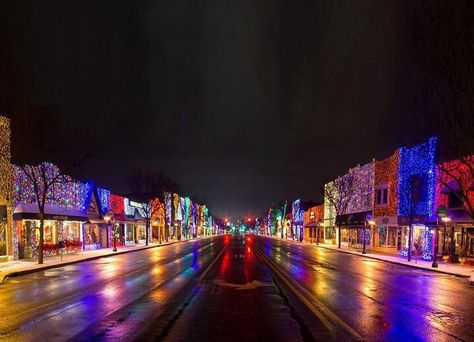 Downtown Rochester Michigan. Beautiful Rochester Hills Michigan, Michigan Christmas, Rochester Michigan, Christmas Light Displays, Mormon Temple, Living Modern, State Of Michigan, Pure Michigan, Detroit Michigan