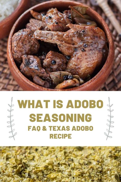 Adobo spice is a mix of several different seasonings that create a layered, earthy flavor that's popular in latin and filipino cuisines. Learn what is adobo seasoning, how to store it, and how to make your own! Adobo Recipe, Adobo Seasoning, Texas Food, Adobo Chicken, Spice Rub, Spice Containers, Salmon Dishes, Minced Onion, Seasoning Blend