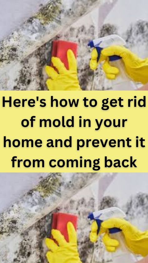 Mold in your home is unsightly, gross, and could also be dangerous. Some mold is actually toxic and can make you and those who live in your home very sick.  Mold can spread quickly, be difficult to detect, and costly to remove. So, you’ll want to make sure you’re doing everything you can do prevent mold growth in and around your home. The biggest defense against mold is to control the moisture in your home, as mold cannot grow without moisture. Identify Places That May Collect Moisture Natural Mold Killer, How To Test For Mold In Your Home, Black Mold Removal Bathroom, Remove Mold From Walls, Diy Mold Remover, Mold In Basement, Remove Mold From Shower, Diy Mould Removal, Black Mold Removal