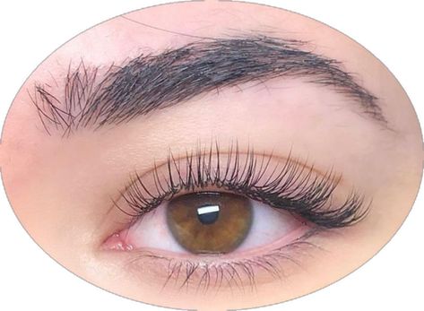 Natural Looking Eyelash Extensions, Natural Fake Eyelashes, Lash Extentions, Natural False Lashes, Lashes Fake Eyelashes, Eyelash Extensions Styles, Perfect Eyelashes, Pretty Lashes, Lash Extensions Styles