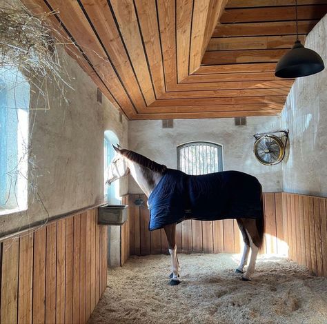 Horse Stall Ideas, Luxury Horse Barns, Dream Barn Stables, Equestrian Barns, Equestrian Stables, Stable Style, Horse Barn Ideas Stables, Horse Barn Designs, Dream Stables